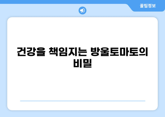 공복에 먹으면 좋은 방울토마토 효능 5가지 | 다이어트, 건강, 비타민, 혈당