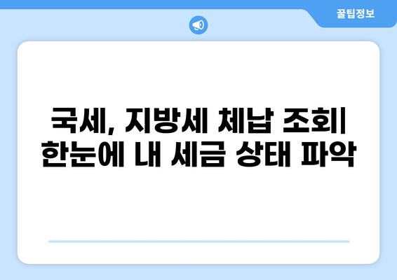 세금 체납 확인 방법| 간편하게 내 세금 상태 확인하기 | 국세, 지방세, 체납 조회, 세금 정보