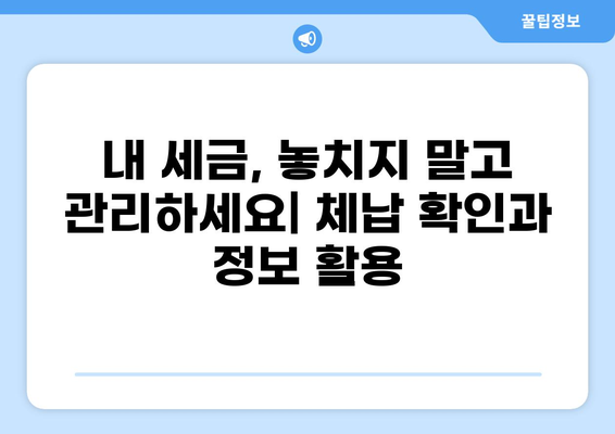 세금 체납 확인 방법| 간편하게 내 세금 상태 확인하기 | 국세, 지방세, 체납 조회, 세금 정보