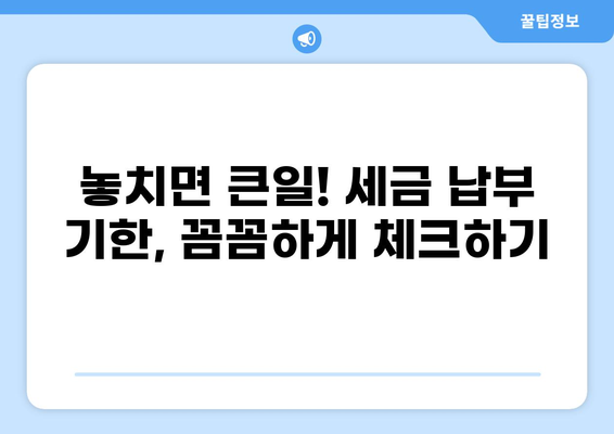 세금 납부 완벽 가이드| 종류별 납부 방법, 기한, 절차 총정리 | 세금, 납세, 국세, 지방세, 신고