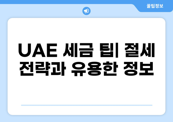 UAE 세금 가이드| 비즈니스 운영 및 투자를 위한 완벽한 설명 | UAE 세금 시스템, 법률, 팁