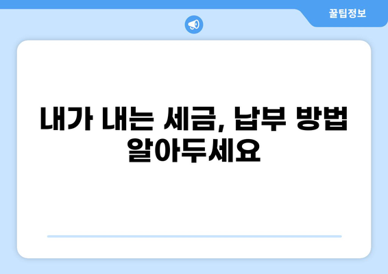세금 벌금, 꼼꼼히 알아보고 피해 없애기 | 세금, 벌금, 종류, 납부, 팁