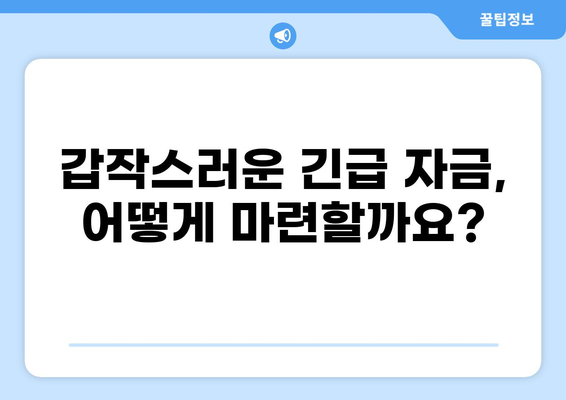 안전망 대출2| 긴급 자금 마련, 어떤 방법이 있을까요? | 비상금, 금융 지원, 신용대출, 저금리 대출, 대출 상담