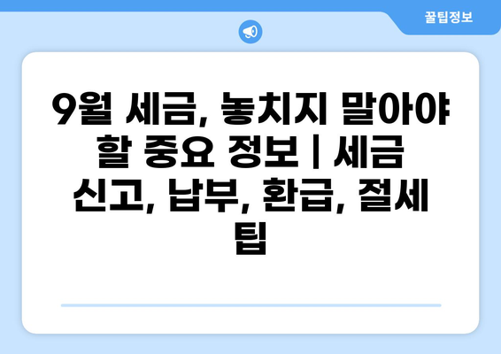 9월 세금, 놓치지 말아야 할 중요 정보 | 세금 신고, 납부, 환급, 절세 팁