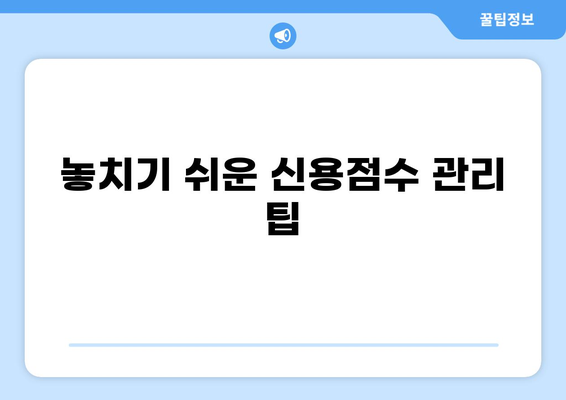 대출 신용점수 높이는 방법| 꿀팁 & 전략 | 신용 관리, 대출 승인, 금리 낮추기