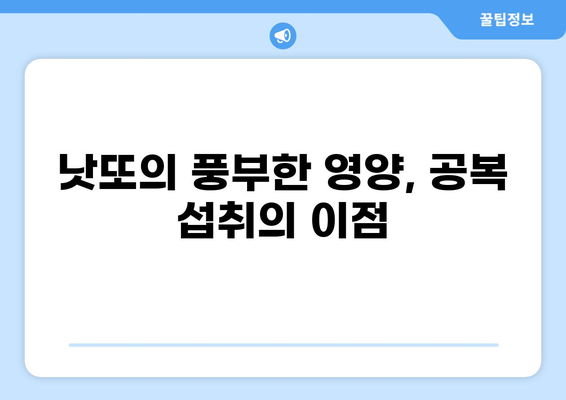공복 낫또 효능 제대로 알아보기 | 다이어트, 장 건강, 영양, 섭취 방법, 주의 사항