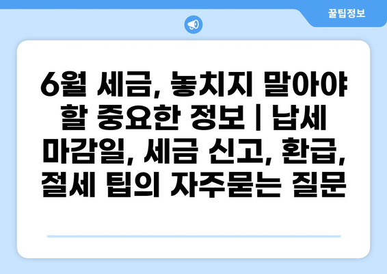 6월 세금, 놓치지 말아야 할 중요한 정보 | 납세 마감일, 세금 신고, 환급, 절세 팁