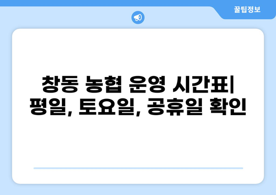 창동 농협 영업시간 안내 | 서울 도봉구, 농협 지점, 운영 시간, 연락처