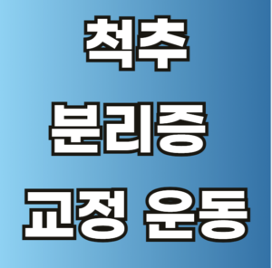 척추 분리증 교정 운동