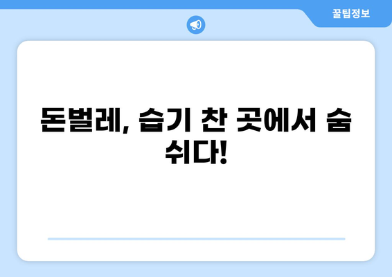 돈벌레, 왜 생기고 어떻게 없앨까? | 돈벌레 생기는 이유, 없애는 방법, 예방법 총정리