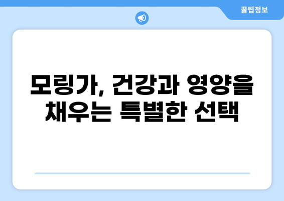 모링가 효능과 부작용 완벽 정리| 가루 먹는 방법부터 주의사항까지 | 모링가잎, 건강, 영양, 식품, 섭취