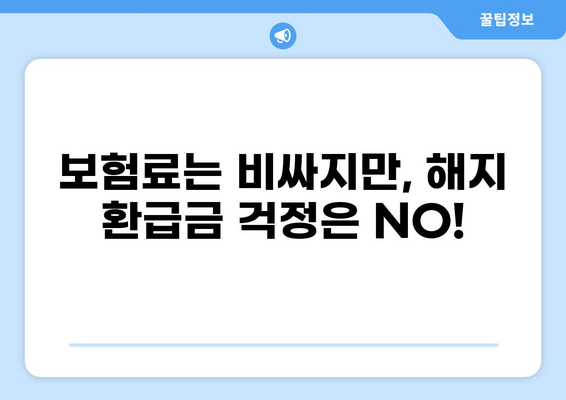 무해지 건강보험, 꼭 필요할까요? | 나에게 맞는 선택, 고민 해결 가이드