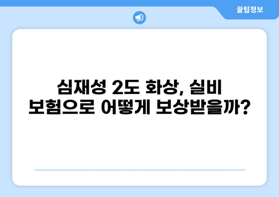 심재성 2도 화상, 보험 실비 비교 분석 & 가입 가이드 | 화상, 실비 보험, 보상 범위, 보험료 비교