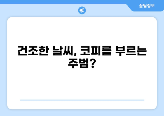 코피가 자주 나는 5가지 이유| 원인과 대처법 | 코피, 빈혈, 건조, 혈관, 비염