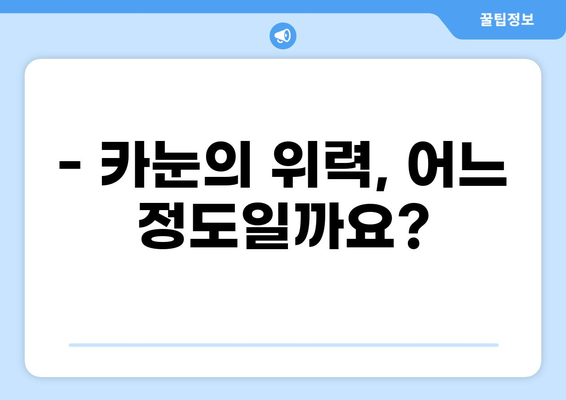 태풍 카눈, 한반도에 어떤 영향을 미칠까요? | 태풍 경로, 예상 피해, 대비 방법