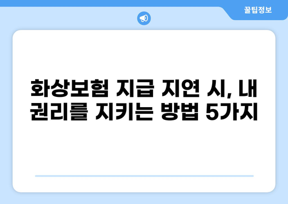 화상보험 지급 지연, 내 권리를 찾는 방법| 지급 지연 시 피해 보상받는 절차와 주의 사항 | 보험, 지급, 보상, 소송