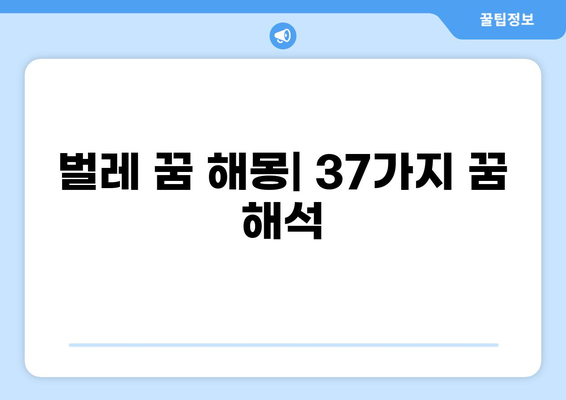 벌레 나오는 꿈 해몽 37가지| 꿈속 벌레가 알려주는 의미와 해석 | 꿈해몽, 벌레꿈, 길몽, 흉몽, 심리분석