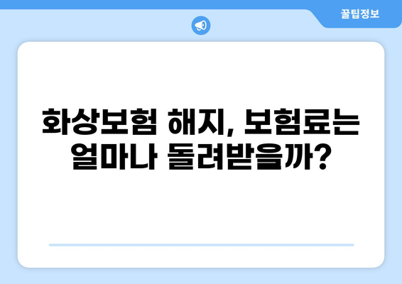 화상보험 해지, 꼭 알아야 할 추가 고려 사항 | 보험료 환급, 해지 위약금, 유의 사항