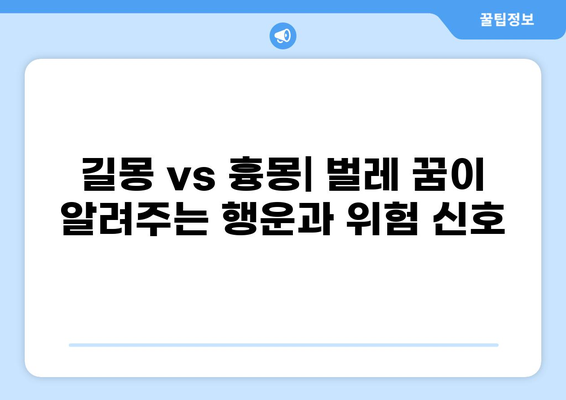 벌레 나오는 꿈 해몽 37가지| 꿈속 벌레가 알려주는 의미와 해석 | 꿈해몽, 벌레꿈, 길몽, 흉몽, 심리분석