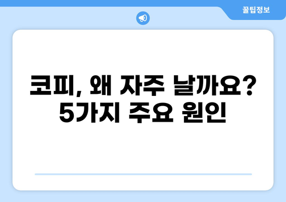 코피가 자주 나는 5가지 이유| 원인과 대처법 | 코피, 빈혈, 건조, 혈관, 비염