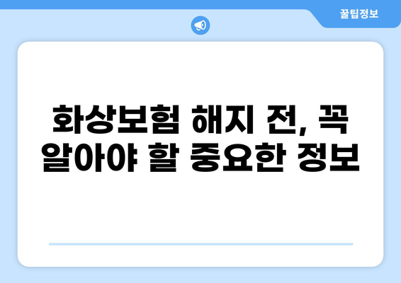 화상보험 해지 후 의료비 분담, 궁금한 점 해결! | 보험 해지, 의료비, 분담, 팁, 가이드