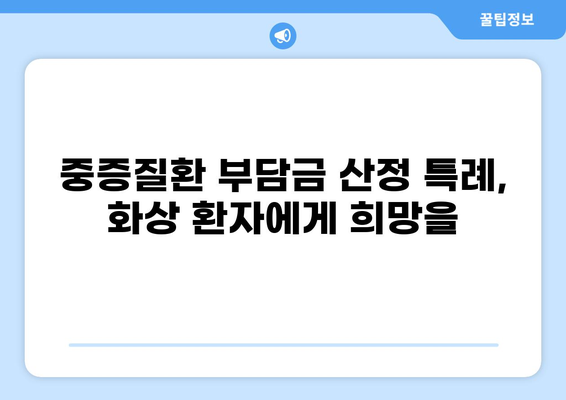 중증질환 부담금 산정 특례제도| 화상 환자의 경제적 부담 완화 | 화상, 의료비 지원, 특례제도, 건강보험