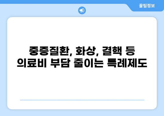 의료보험 본인부담금 특례제도| 중증질환, 화상, 결핵 등 완벽 이해하기 | 의료비 지원, 특례 대상, 절차, 혜택