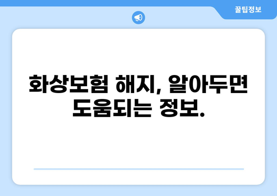 화상보험 해지 환급금, 내 손으로 계산해보세요! | 화상보험, 해지 환급 계산, 보험금