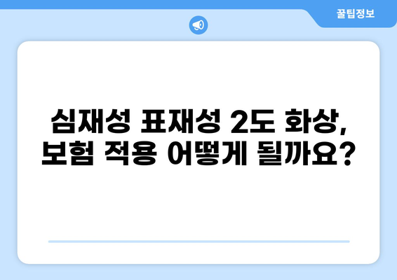 심재성 표재성 2도 화상| 보험 기준, 흉터 치료, 그리고 궁금증 해결 | 화상, 보험, 흉터, 치료, 정보