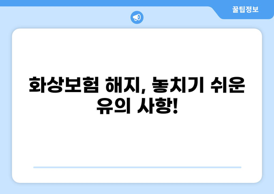 화상보험 해지, 꼭 알아야 할 추가 고려 사항 | 보험료 환급, 해지 위약금, 유의 사항