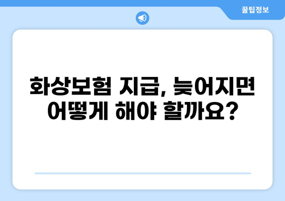 화상보험 지급이 늦어졌다면? 보험사에 어떻게 항의해야 할까요? | 보험금 지급, 지연, 소송, 권리