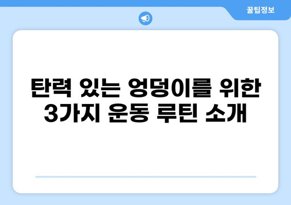 엉덩이 근육 강화 운동 3가지 추천 | 힙업, 탄력, 홈트, 운동 루틴