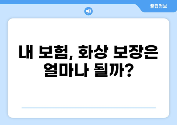 화상 보험 보장 범위, 내 보험은 어떨까요? | 화상 보험, 보장 내용, 확인, 비교