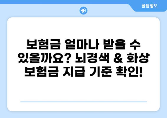 뇌경색 및 화상, 보험으로 안전하게 대비하세요! | 보장 범위, 보험금, 추천 상품 비교