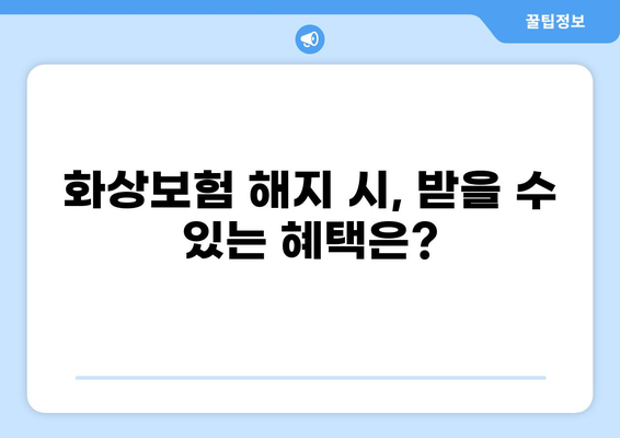 화상보험 해지, 심층 분석과 전략적 고려 사항| 나에게 맞는 해지 전략 찾기 | 화상보험, 해지, 보험료, 보장, 해지환급금, 전략
