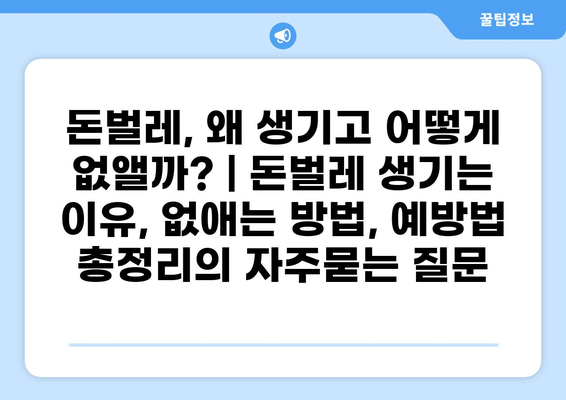 돈벌레, 왜 생기고 어떻게 없앨까? | 돈벌레 생기는 이유, 없애는 방법, 예방법 총정리