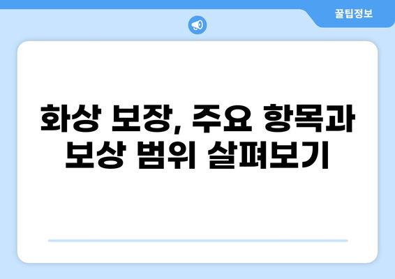 화상 보장 꼼꼼히 확인하고 놓치지 말자! | 보장 분석, 주요 항목, 비교 가이드