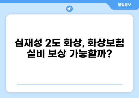 심재성 2도 화상, 화상보험 실비 얼마나 받을 수 있을까? | 화상보험, 실비 보상, 심재성 화상, 보험 비교 분석