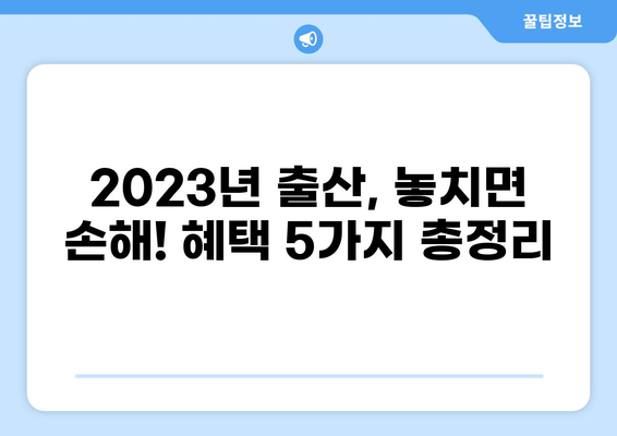 2023년 꼭 알아야 할 출산 혜택 5가지| 출산장려금, 부모급여, 아동수당 등 총정리 | 출산 지원, 육아 지원, 정부 지원, 출산 꿀팁