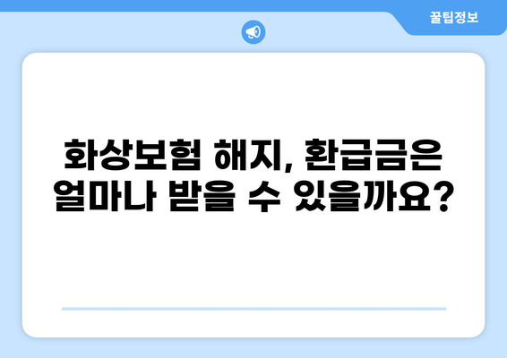 화상보험 해지, 알아두면 도움되는 보험 금융권 규제 | 보험 해지, 환급, 계약 조건, 규제 정보
