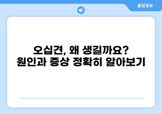 오십견, 이제 걱정 끝! 증상부터 치료, 운동, 스트레칭까지 완벽 해결 | 오십견, 어깨 통증, 회전근 개 파열, 운동법, 스트레칭