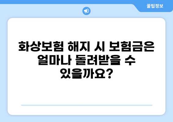 화상보험 해지, 이렇게 하면 됩니다| 단계별 안내 | 화상보험 해지, 해지 방법, 보험금 환급