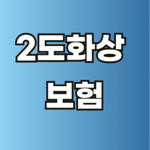 2도화상 보험