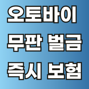 오토바이 무판 벌금
