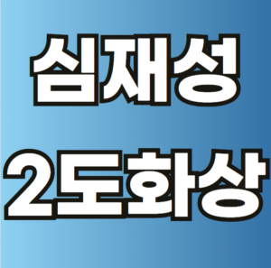 심재성 2도 화상 보험 실비