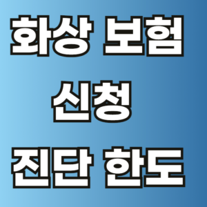 화상 보험 신청방법 진단 한도