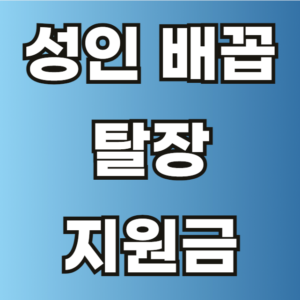 성인 배꼽 탈장 원인 이유