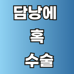 담낭에 혹 수술 보험 지원금