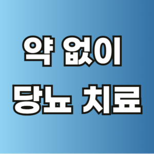 약 없이 당뇨 치료 혈당 관리